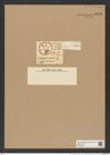 Actinoptychus parda Castr. (de-Toni-Nr.: Genus 227, Species 5629) Zeichnungen Sammlung Grunow Nr. 9514 (NHMW-BOT-W0379501)